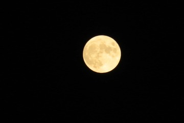 1603A745-0315-4699-AB1C-E6E784324396/L0/001