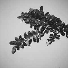 98290F39-8BFA-46FD-B37E-F0905D3C435B/L0/001