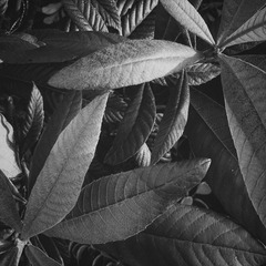 B6072994-7584-42DF-BDB5-4898F57D97F7/L0/001