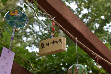 143130EC-0688-44D8-B884-E61BBE1AA2F7/L0/001
