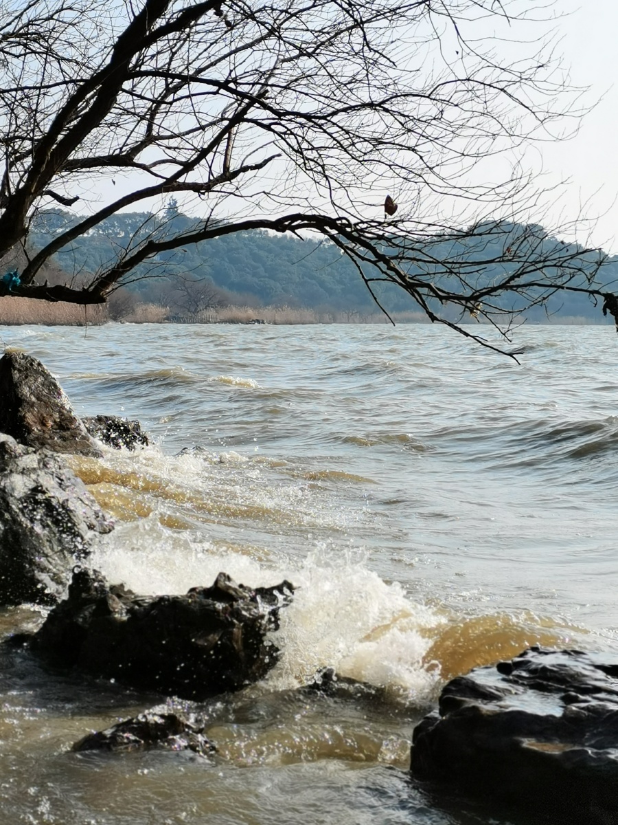 无锡马山龙头渚湖边景色