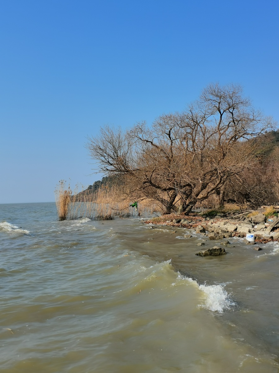 无锡马山龙头渚湖边景色