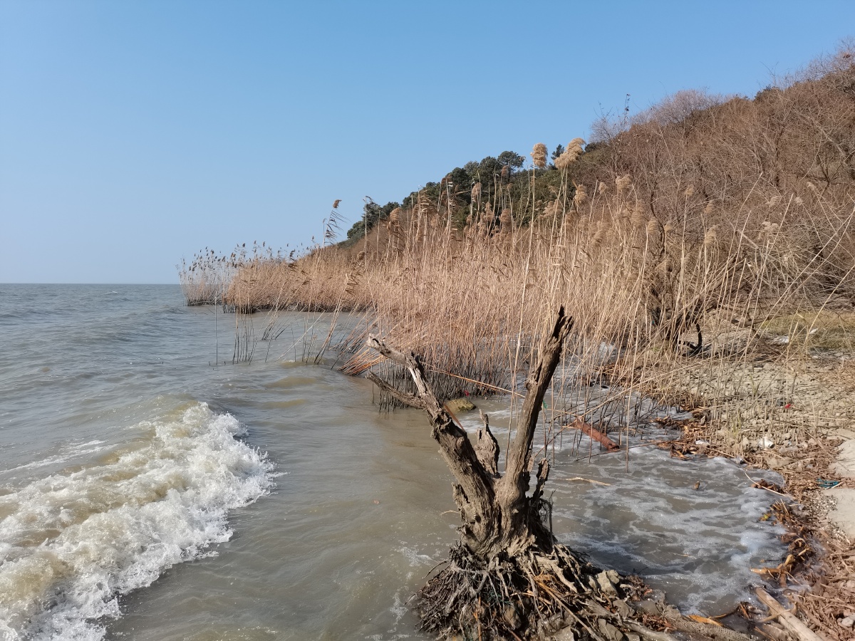 无锡马山龙头渚湖边景色