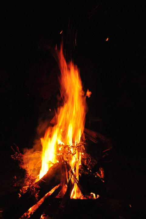 篝火2 br />