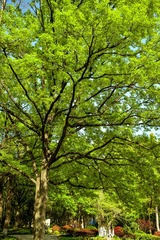 EF2E7026-E0D5-42FF-8260-72E7BFC29A65/L0/001