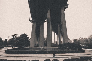 IMG_9717.jpg