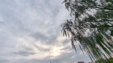 1000039720