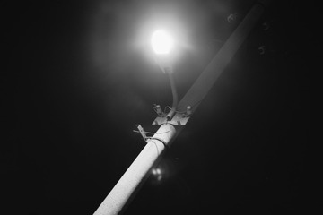 34F26779-60EA-42E7-8F6D-DF79ABE66436/L0/001