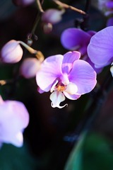 F0B1F696-2F89-4B1F-8C22-7B3C4C4A038A/L0/001