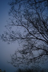 45AFF5B2-3FBE-455E-98C2-490F0F1F5DC2/L0/001