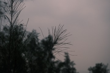 B1B9D272-316A-45EC-8FEA-DFE64E19B6D8/L0/001