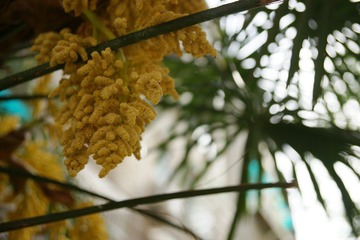 DSC07322.JPG