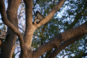 DSC05928.jpg