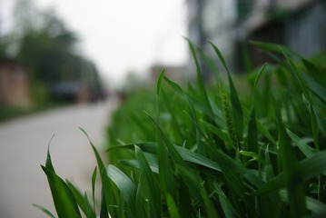 DSC06790.jpg