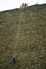 DSC07502.jpg