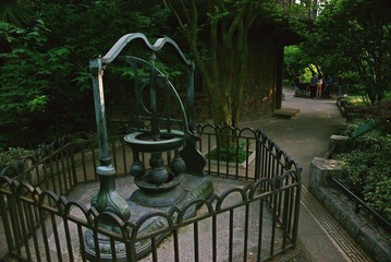 DSC07709.jpg