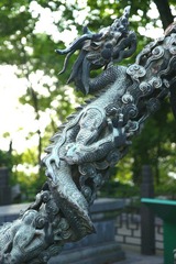 DSC07724.jpg