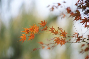 DSC08869.JPG