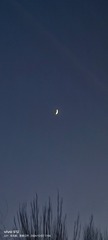 1000079518