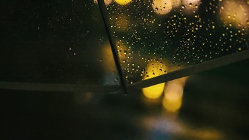 563A8F0D-EF6C-47AD-8667-48A3BCBE65A4/L0/001