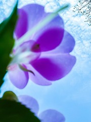 2319440A-BBB8-4FC6-8A72-542C4B9C223E/L0/001