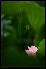 DSC_1262.jpg