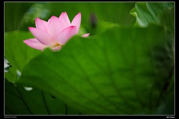 DSC_1269.jpg