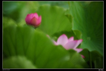 DSC_1288.jpg