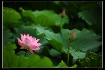 DSC_1389.jpg