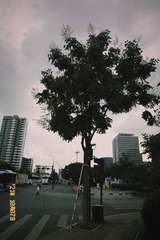 2EDBC34A-5E2C-4BF9-8770-A1D1B9046A07/L0/001