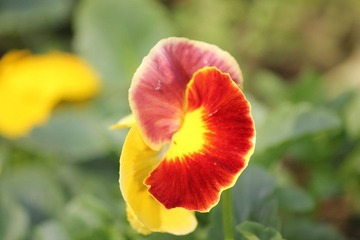 IMG_3549.JPG