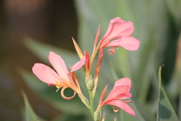 IMG_3690.JPG