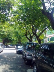 2012072023252.jpg