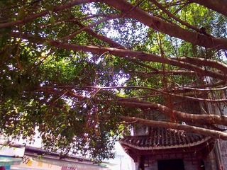 2012072023267.jpg