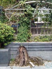 2012072023187.jpg