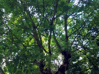 2012072023191.jpg