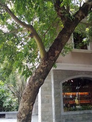 2012072023192.jpg