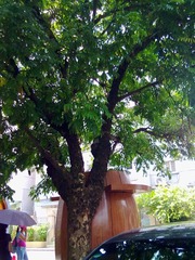 2012072023195.jpg