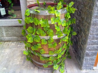 2012072023198.jpg