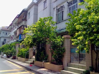 2012072023205.jpg