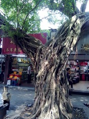 2012072023169.jpg