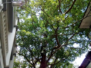 2012072023162.jpg