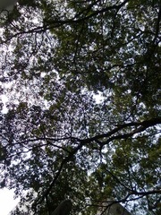 2012072023166.jpg