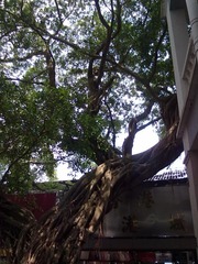 2012072023167.jpg