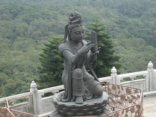 CIMG0230.JPG