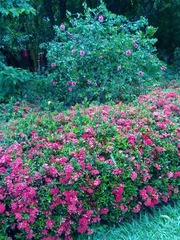 2012072924038.jpg