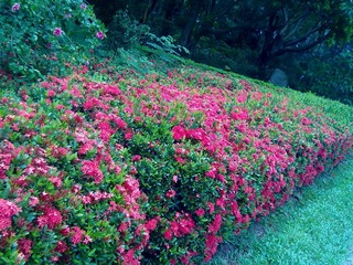 2012072924039.jpg