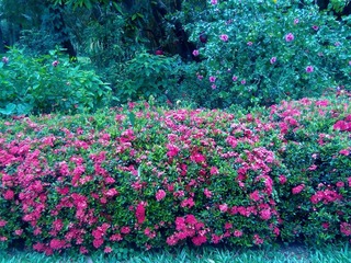2012072924040.jpg