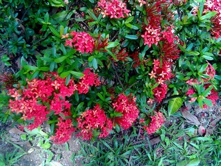 2012072924043.jpg