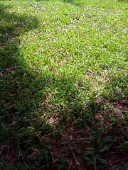 2012072924047.jpg